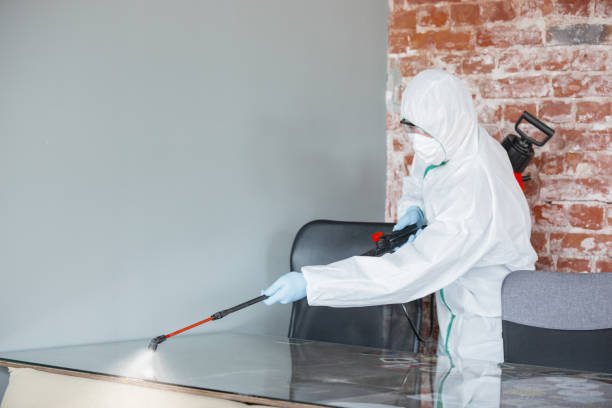 Best Residential Mold Inspection & Testing  in Darien, IL