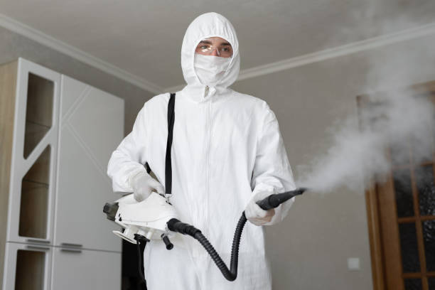 Professional Mold Removal & Remediation in Darien, IL